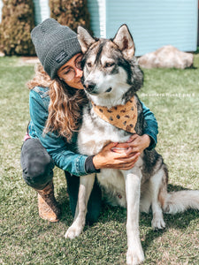 Tuque WeSavePets
